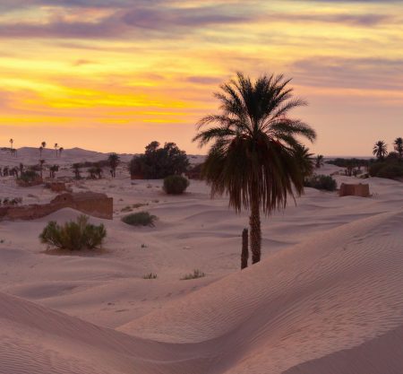 Agence de voyage d'affaires en Tunisie